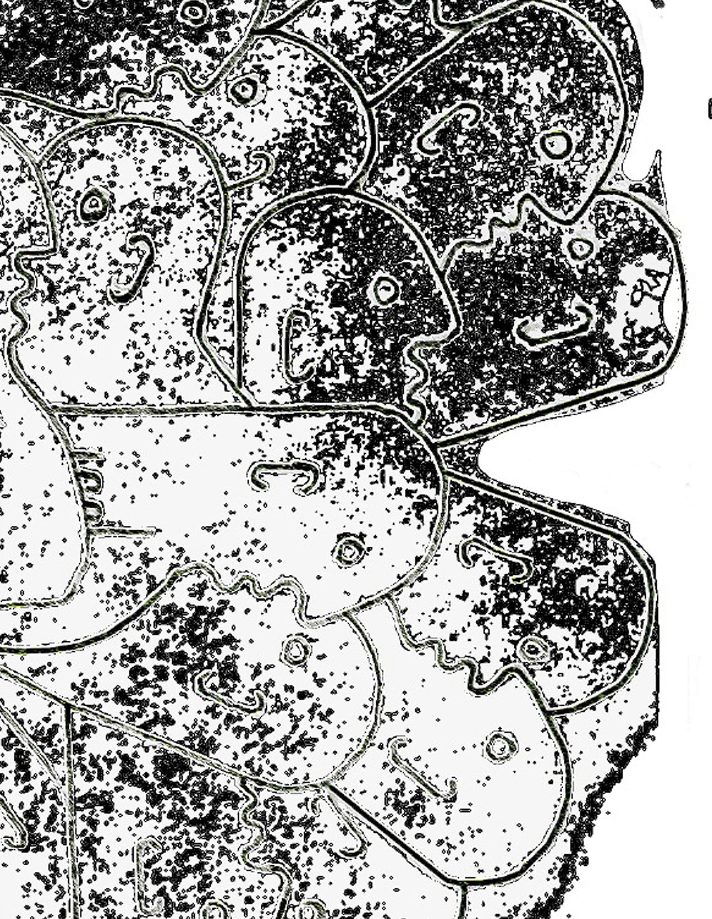 DR 152 / ALL IN THE BAG