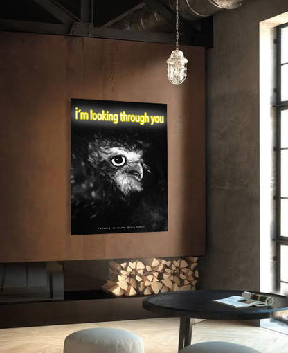 AU 315 / Í LOOKING THROUGH YOU