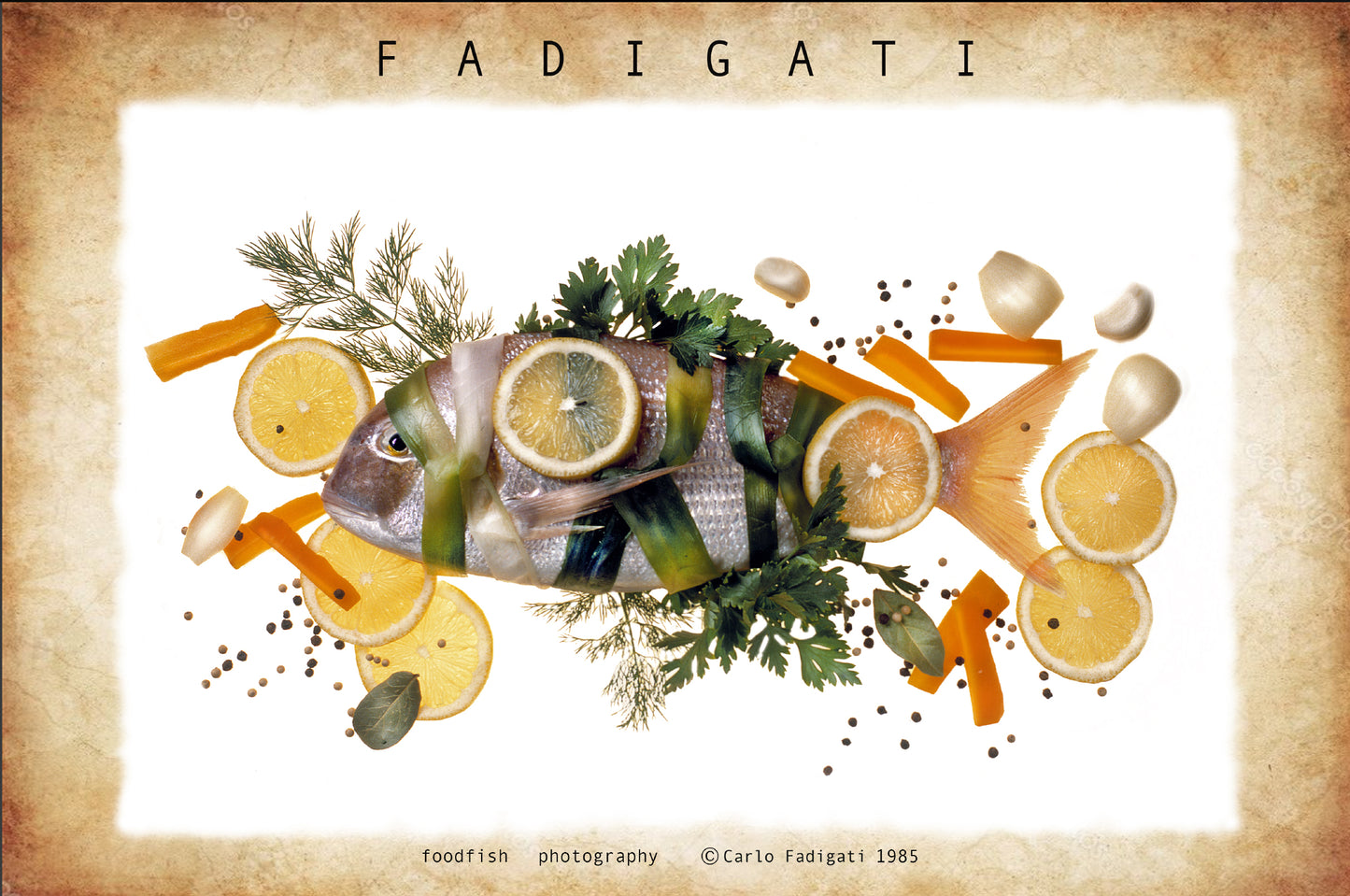 FOO 11 / DECORATEDFISH