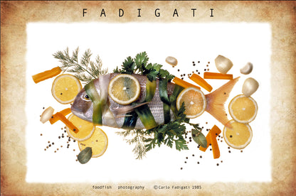 FOO 11 / DECORATEDFISH