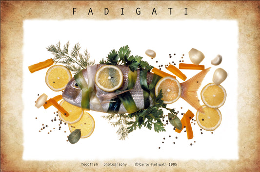 FOO 11 / DECORATEDFISH