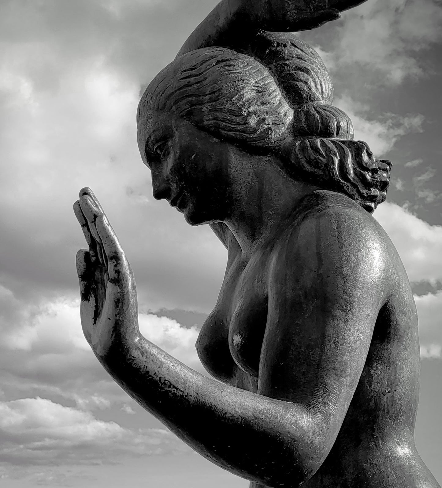 AU 327 / SITGES LA SIRENA