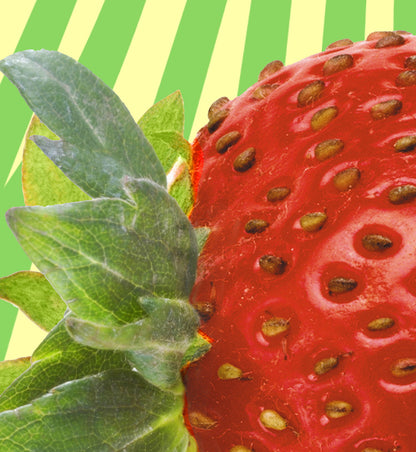 FOO 14  / BODY STRAWBERRY