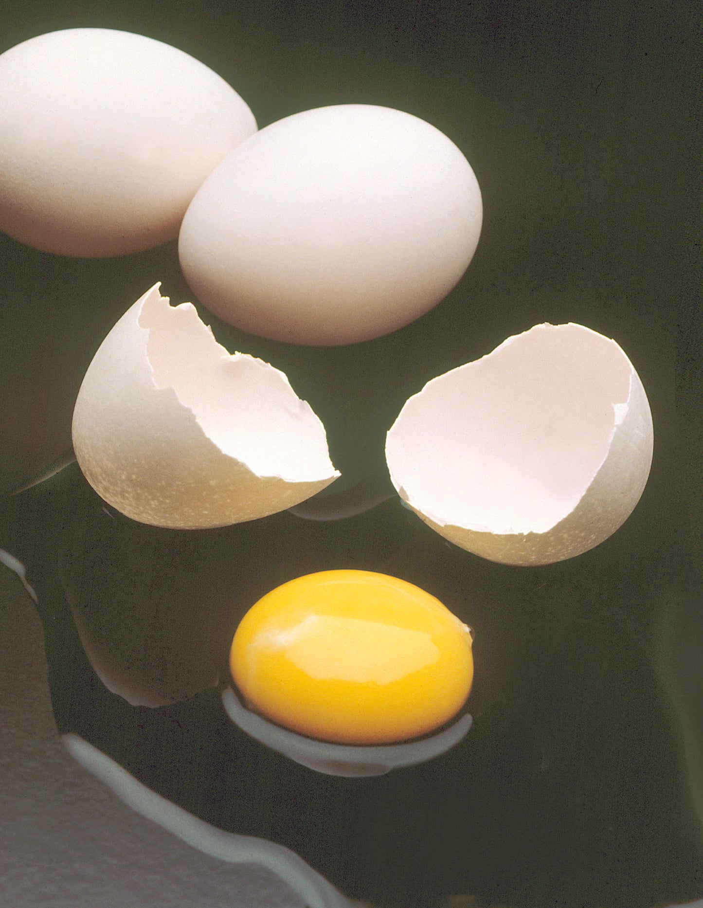 AFI 401 / EXPO GOURMANDISE