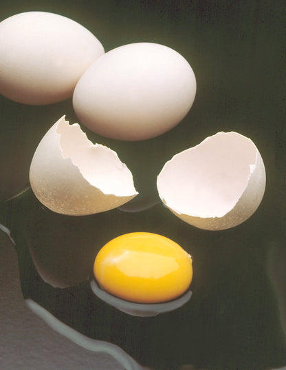 AFI 401 / EXPO GOURMANDISE