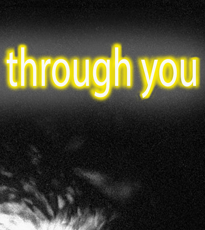 AU 315 / Í LOOKING THROUGH YOU