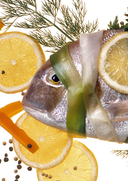 FOO 11 / DECORATEDFISH