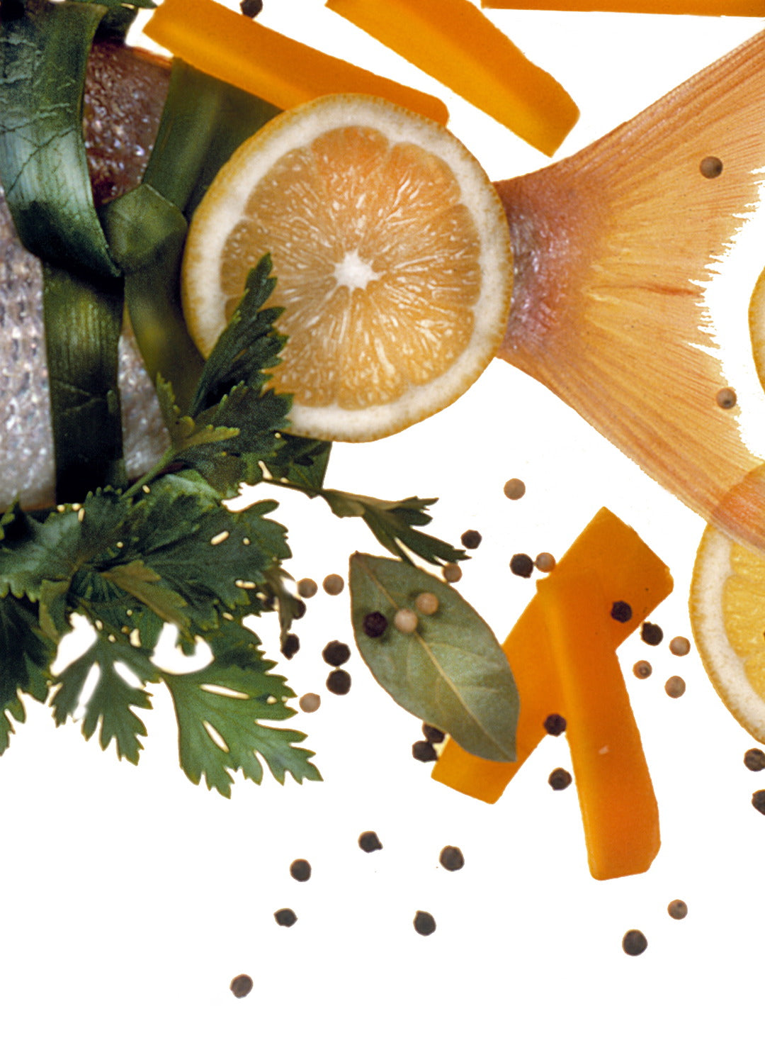 FOO 11 / DECORATEDFISH