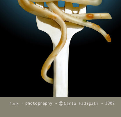 FOO 03 / FORK & SPAGHETTI