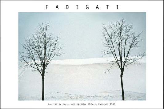 NA 103 /  TWO LITTLE TREES