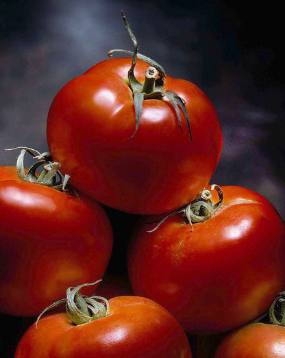 FOO 07 / TOMATOES