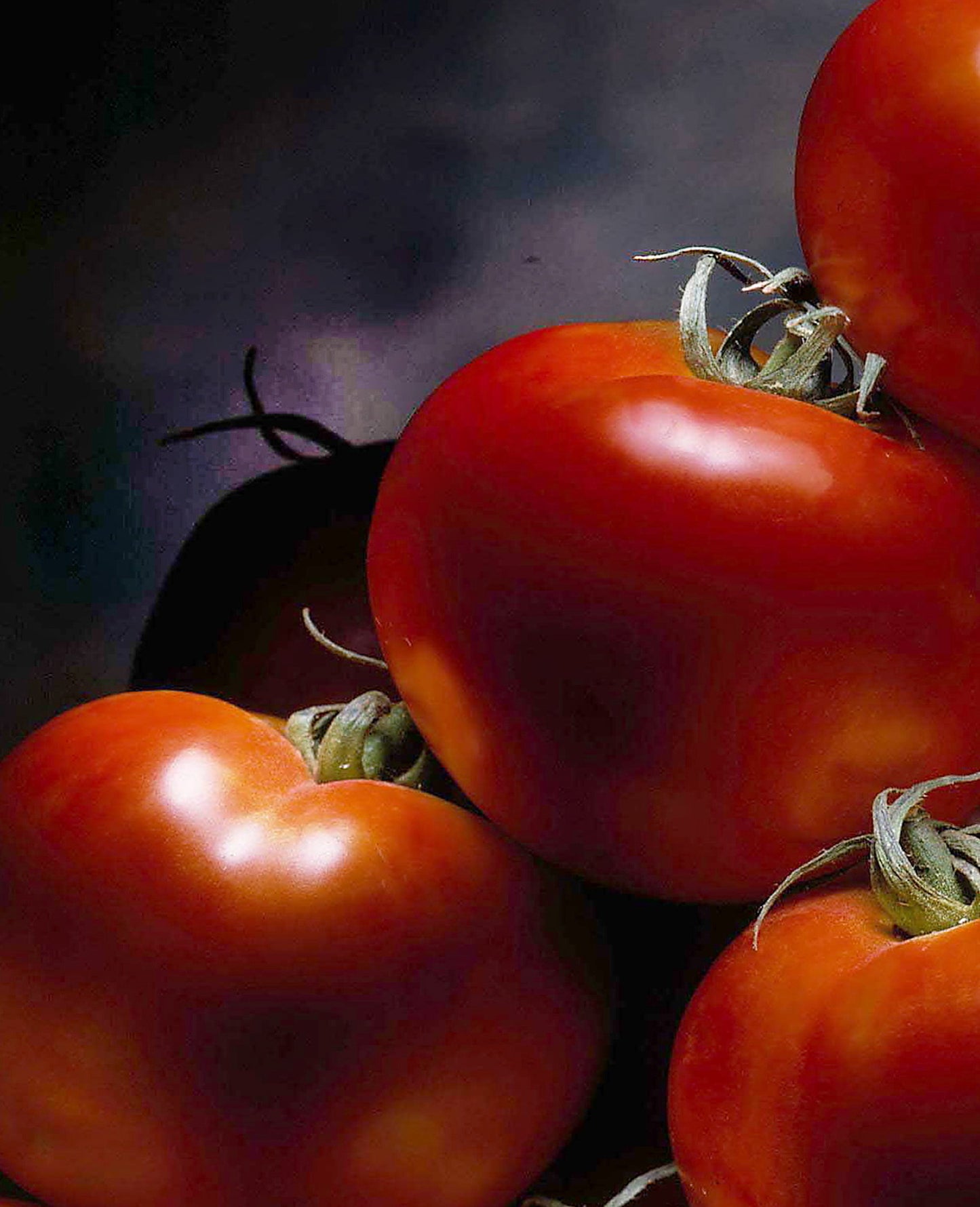 FOO 07 / TOMATOES